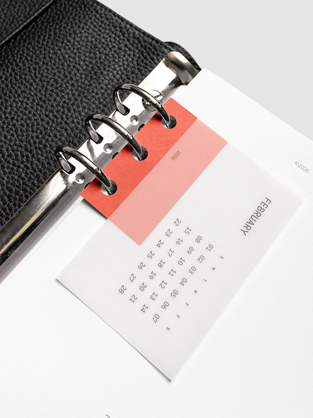 System Punch Stickers in Pimento, hole punch adhesive sticker