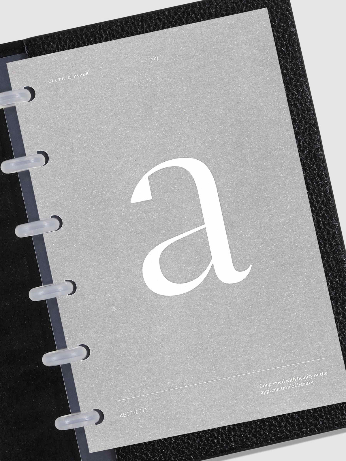 Monogram Vellum Planner Dashboard A in use in a leather planner.