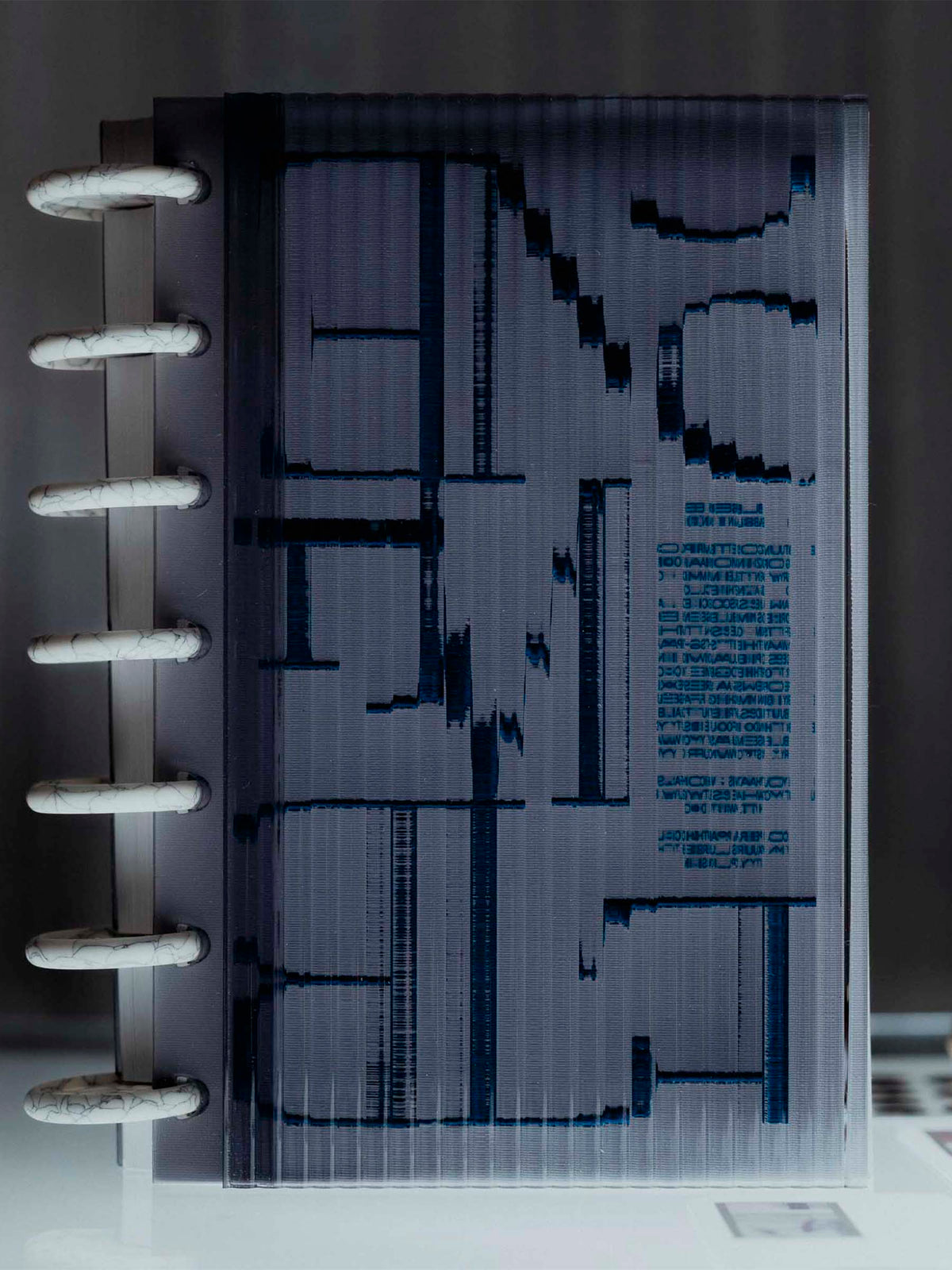Planner discs shown in use inside a discbound planner setup.