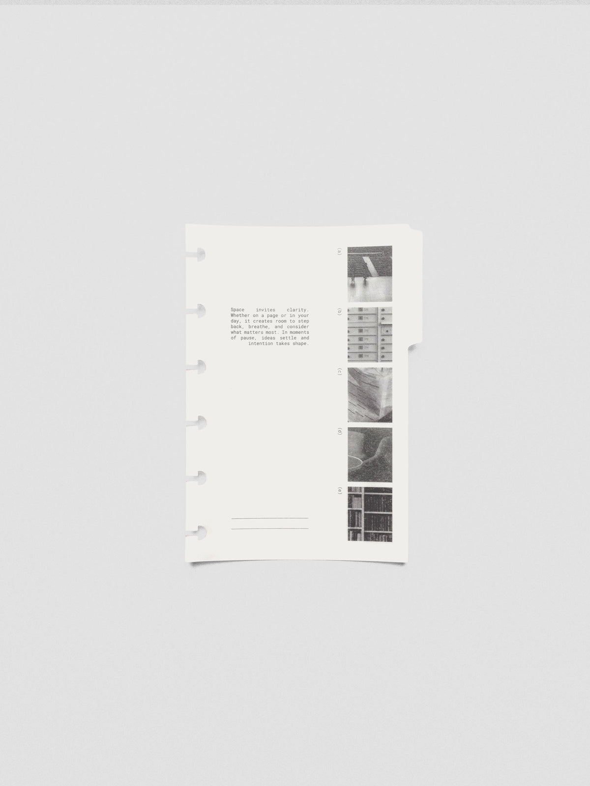 CP Petite Editorial Vellum Dividers Vol. 2 shown inside a planner with translucent layering.