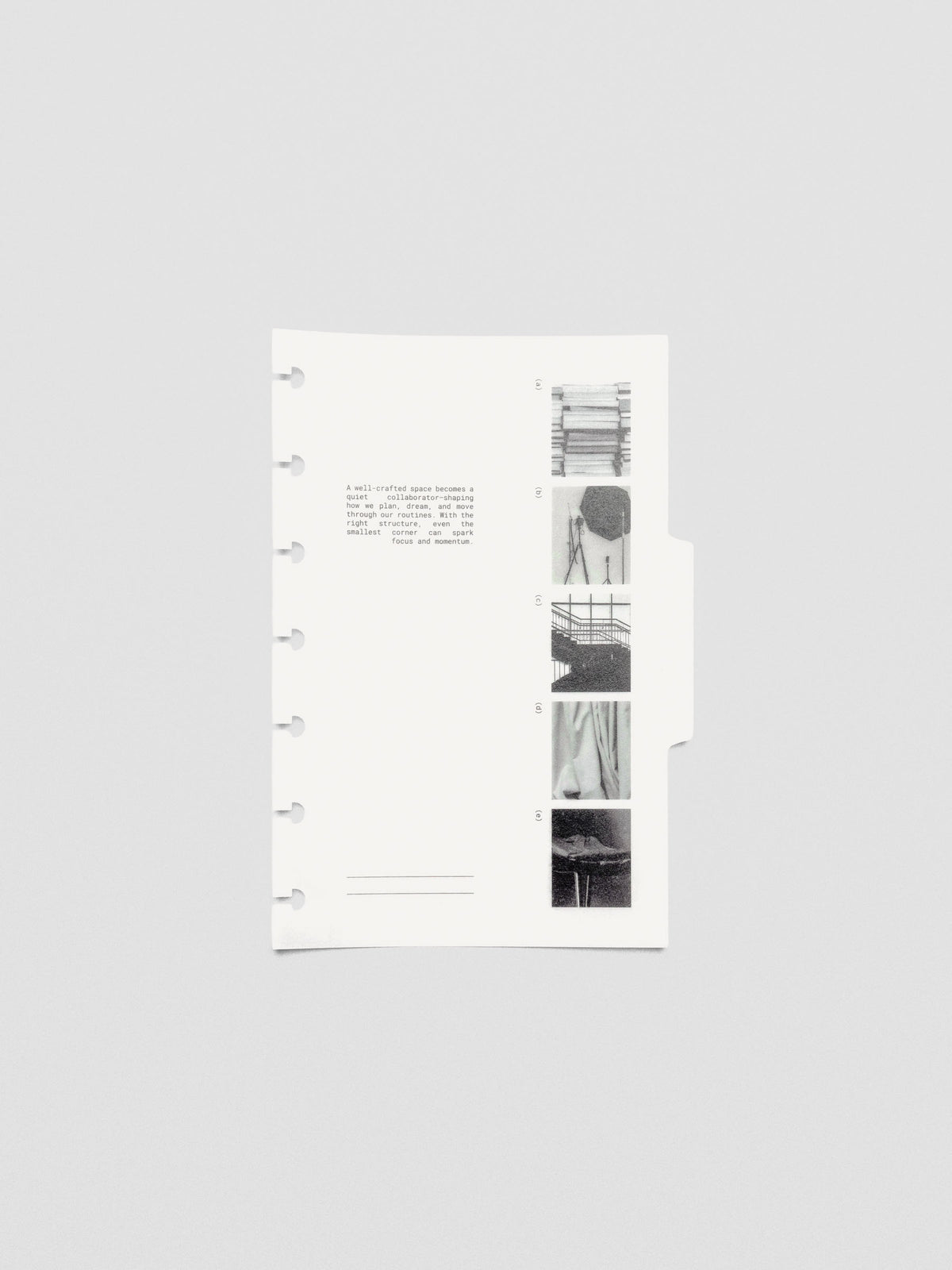 Close-up of Editorial Vellum Divider with modern editorial-style typography on clear vellum material.