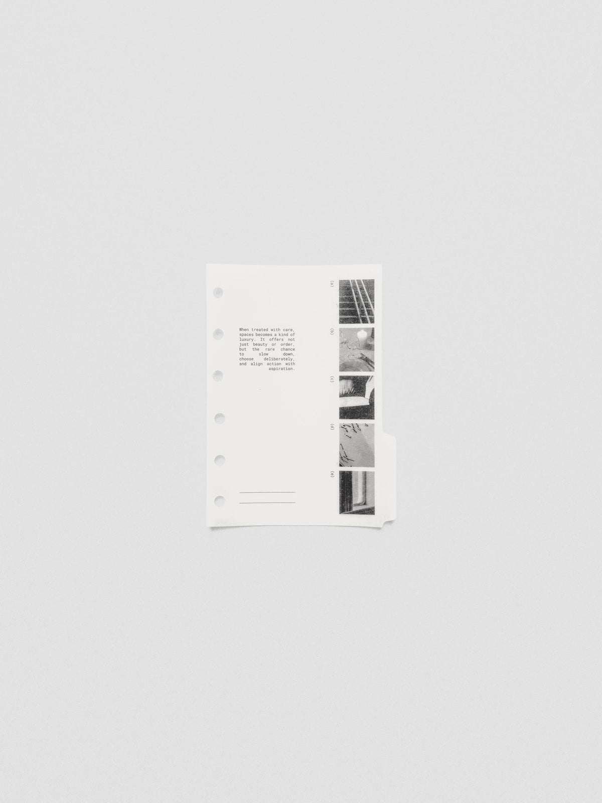 Pocket-size Editorial Vellum Dividers Vol. 2 displayed layered over planner inserts.