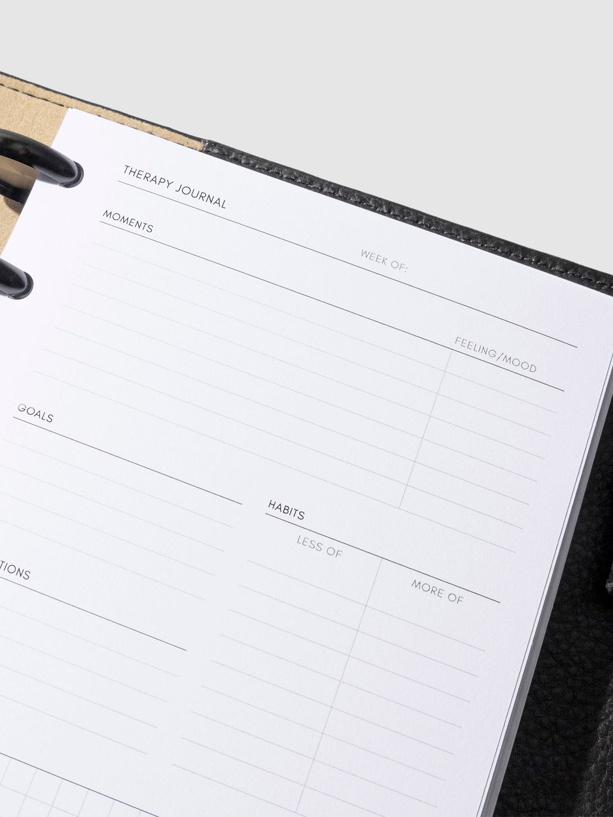 Insert shown in use inside a black leather agenda. Size shown is HP Mini.