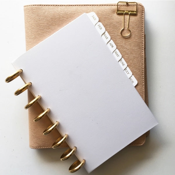 How I Use a Disc-Bound Agenda + Exciting News!