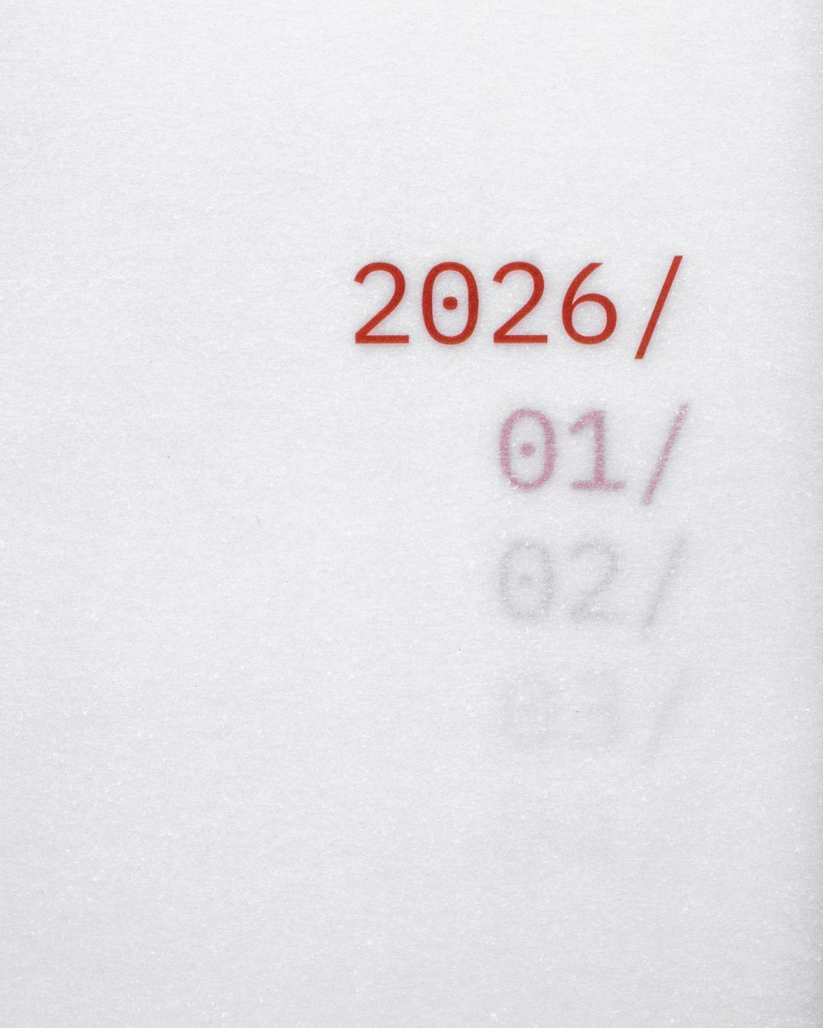 Bold red '2026/' printed above layered monthly pages including January and February on semi-transparent vellum.