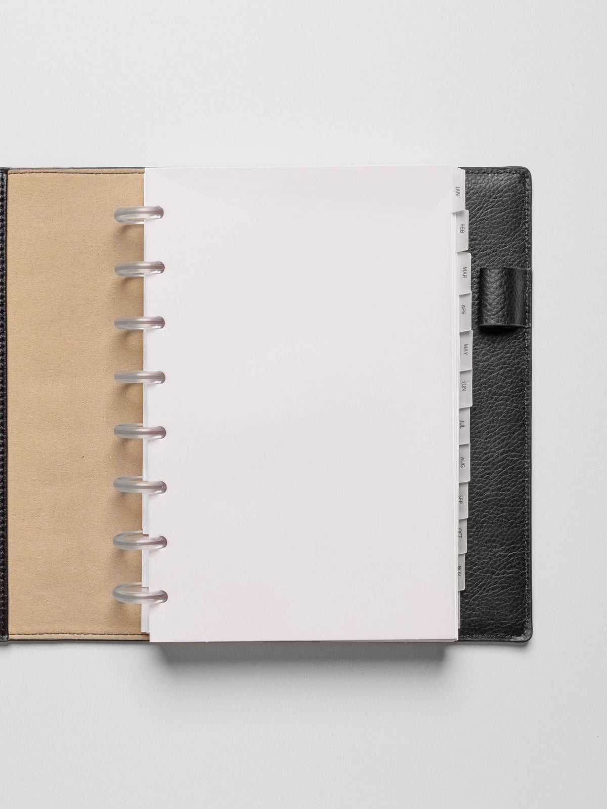 Half Letter vellum dividers shown on a grey background.