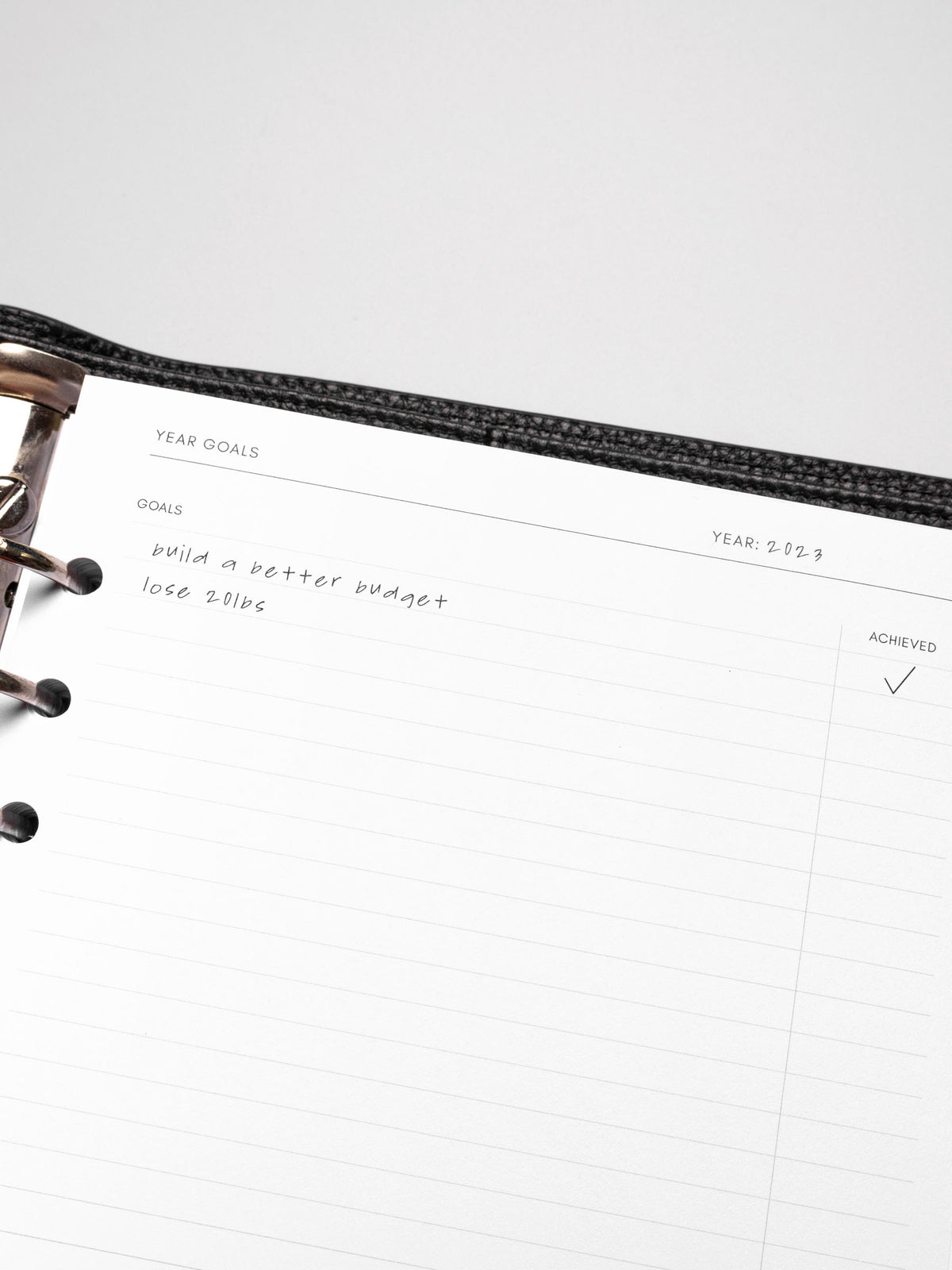 Close up of Goal Mapping inserts inside discbound planner and leather cover. 