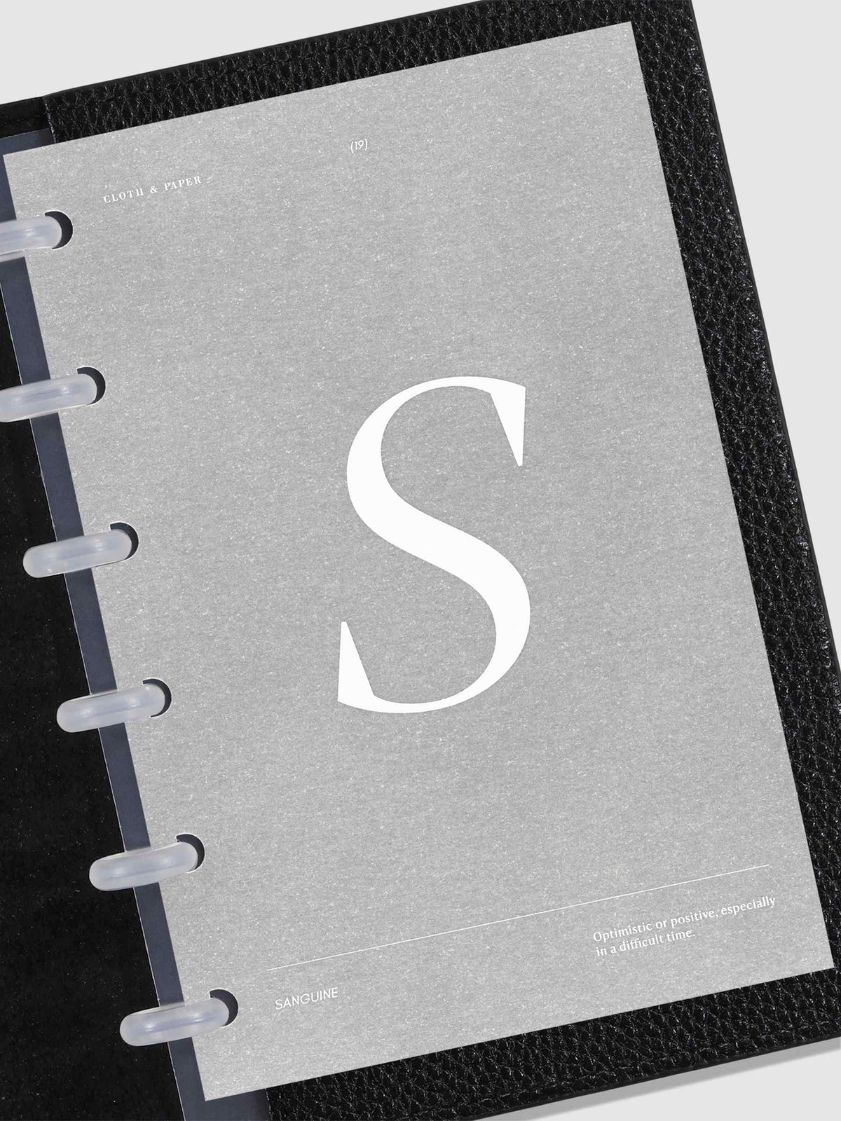 Monogram Vellum Planner Dashboard S in use in a leather planner.