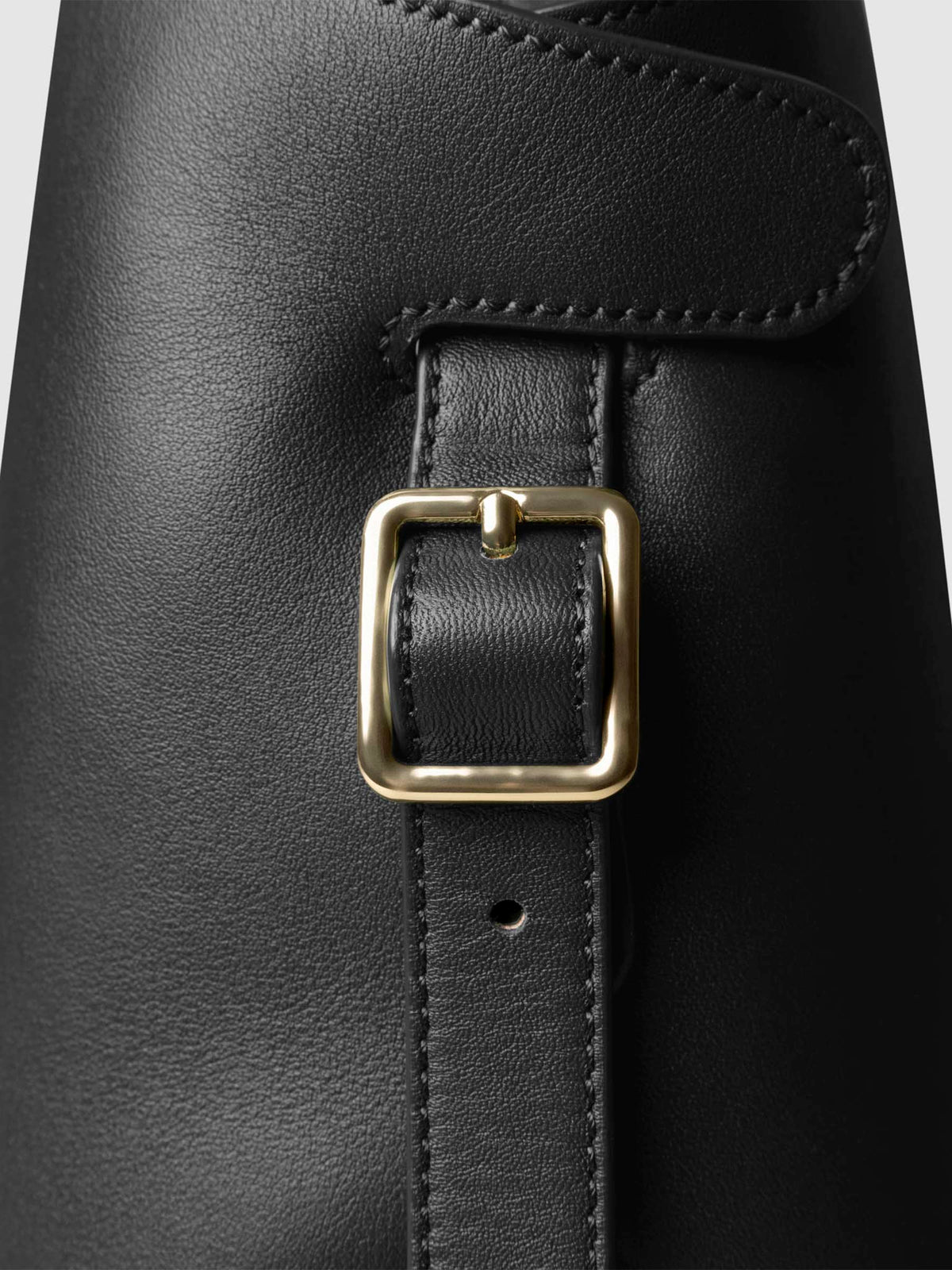 Side view of bag showcasing its gold hardware and adjustable leather strap. Color shown is Padrillo.